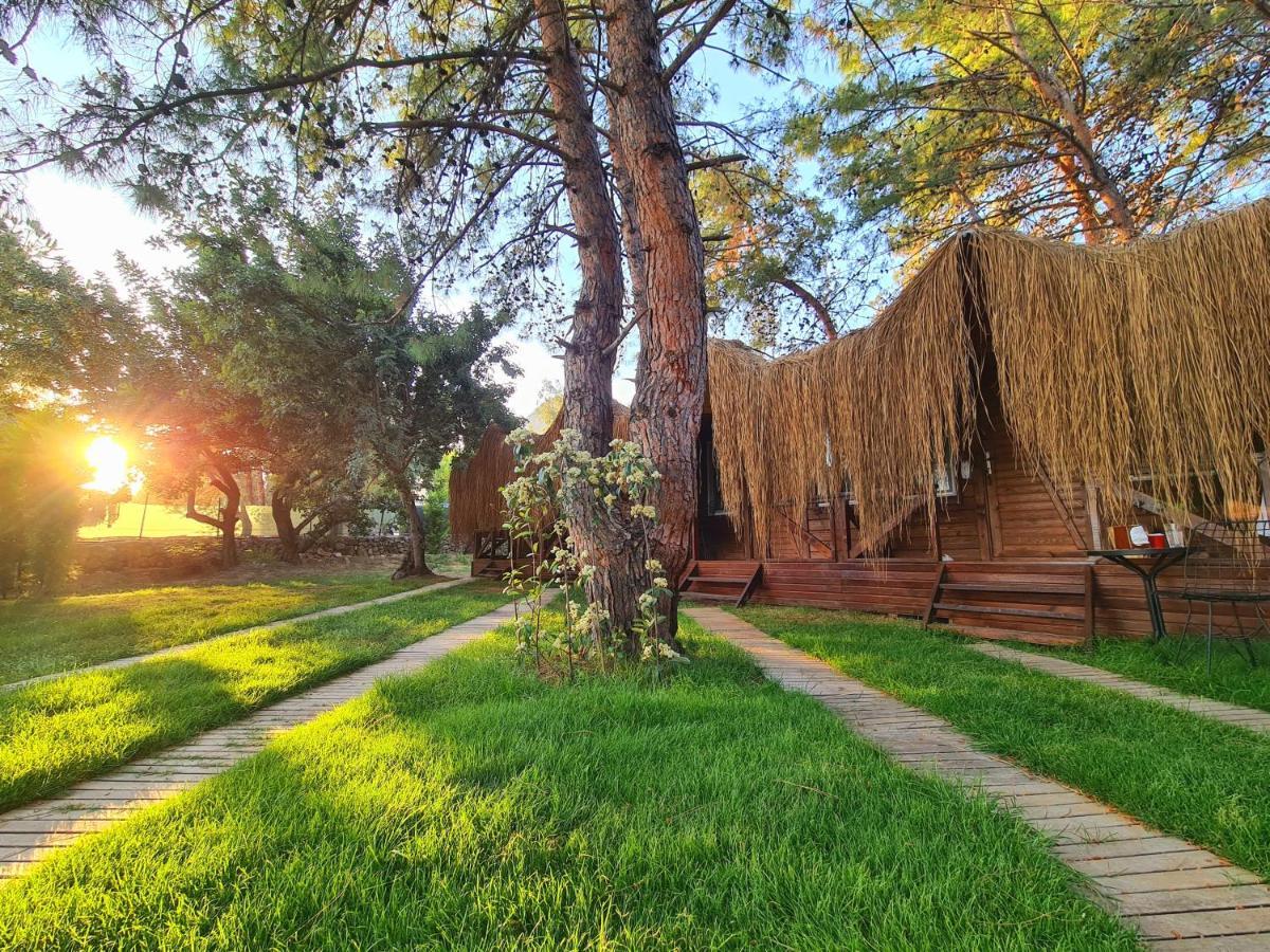 Green Pine Bungalows Ölüdeniz Exterior foto