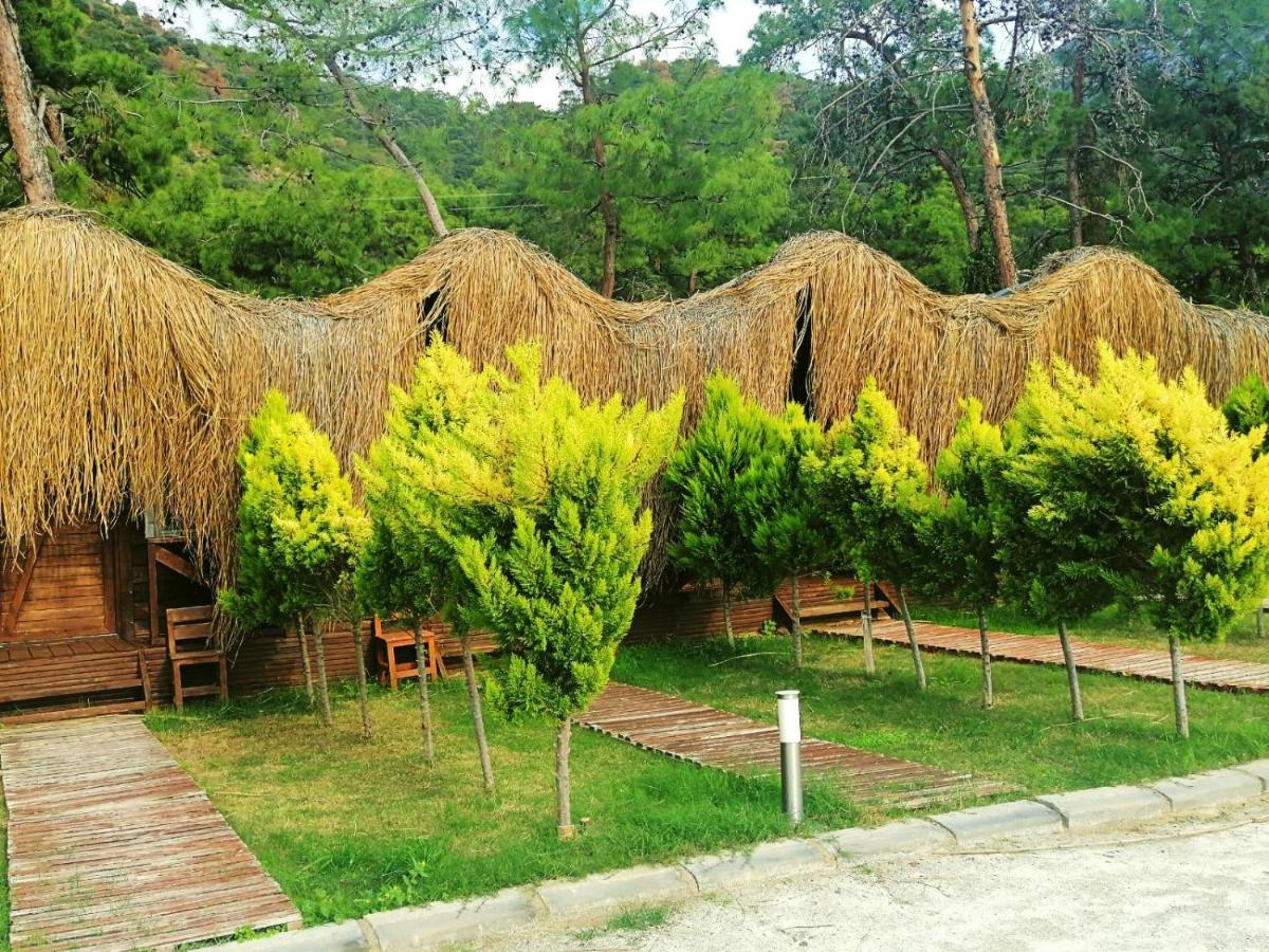 Green Pine Bungalows Ölüdeniz Exterior foto